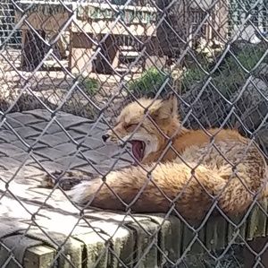 Meet your Posher, Makayla